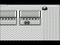 Pokemon Red+Blue Computer Glitch
