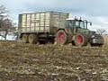 Fendt 926 / Bergmann,Mais fahren