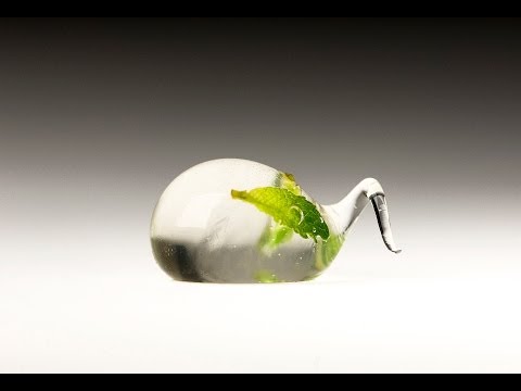 Molecular mixology - Cocktail R-EVOLUTION Trailer