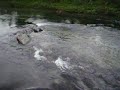 Dangerous water in Lapland Dangerous water in Lapland