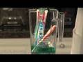 Will It Blend? - Dental Hygiene Surprise