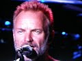 ELVIS COSTELLO & STING 