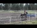 Flagstaff Schooling Show, Kim and Gracie