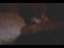 Pebbles Drinking