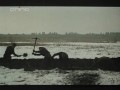 Battle of Sokolovo (1943)
