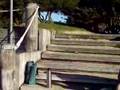 videos de Penguin Island Western Australia