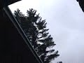 hurricane dolly again