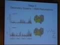 Melissa Liriano Meyerhoff 20th Oral Presentation