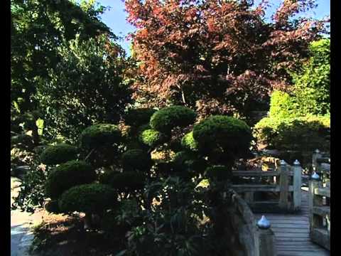 Hansaplant - Jaapani aed (Aiasaade, 16.04.2011)