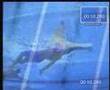 Aaron Peirsol backstroke tecnique (nuotata dorso)