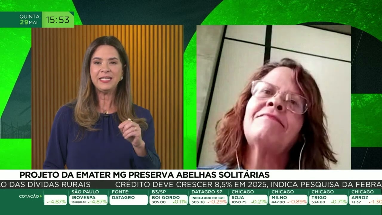 Projeto da Emater MG preserva abelhas solitárias