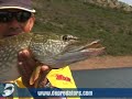 tras los lucios gigantes de cijara