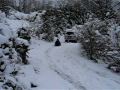Jessica Woodall Sledin