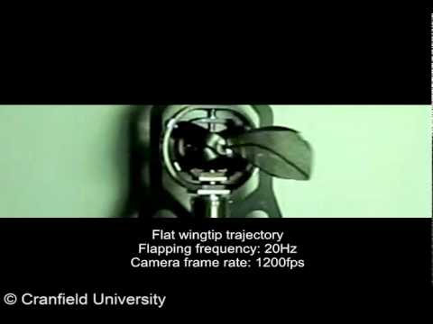 N8Projects - The flapping-wing apparatus, the 'Flapperatus', is an experimental test rig for research into insect-like flapping-wing flight. This was produced during my P...