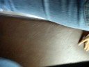Trying to escape the bus