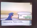 Pokemon Battle 1 Gatrophy vs. RELICHRIS