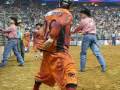 Wilfong Bucking Bulls Rodeo Houston Bull Riding 2009