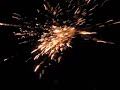 Fireworks and music (Zoosters Breakout)