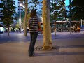 gavalda se xoca contra un arbol