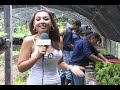 REPORTAJE TECNICAS PARA PROPAGAR LAS PLANTAS.mp4