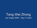 Tang Wei Zhong - 2005 Xing Yi