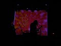 Toner Low live in Best, Dave\