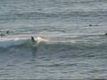 Nuno Godinho Surf Bafureira