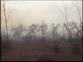 Old Stage Road Fire on Jan. 7, 2009