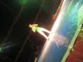 Java Mayam no circo Marcos Frota..