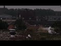 Eerste vleugelslagen - First wing beats Eerste vleugelslagen - First wing beats