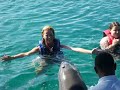 laura swims with dolphins in nassau laura swims with dolphins in nassau
