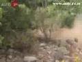 Rally Acropolis 2006 SS Imitos Athens