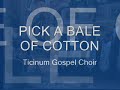 Pick a bale of cotton