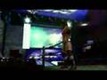 Smackdown! vs. RAW 2009 - Triple H