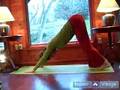 Yoga Poses for Menstruating, Menopausal, or Pregnant Women : Downward Dog Yoga Pose for Menstruating Women