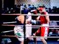 ben rees-davies vs tom glover