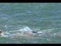 TI Head Coach Terry Laughlin's Open Water Swim