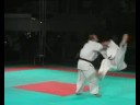 Tezuka Cup European Championship 2008