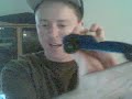 2008 Reminder Video - Pinewood Derby Amateur Tech Tips