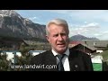Braunvieh Europaschau