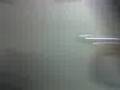videos de nellcinho e deco