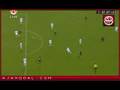 prachtige goal wesley sneijder