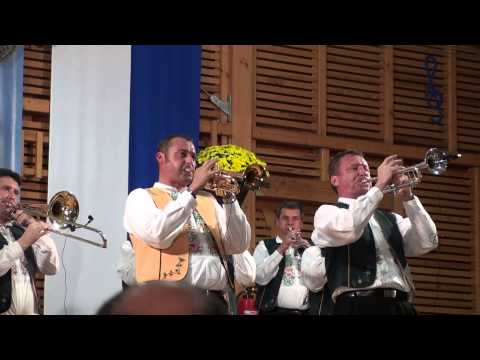 Vlado - Konzert von Vlado Kumpan und seine Musikanten in Gaggenau Oberweier am 26.10.2013 2h des gesamten Konzertes ununterbrochen in HD Qualitaet. viel Spass beim S...