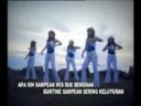 Jalak putih