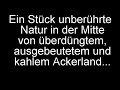 write&change: Befreie Mich!