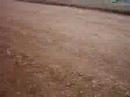 arising-star.html