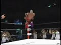 Frankensteiner Frankensteiner
