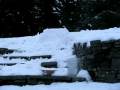 videos de MVI 0147