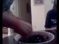 jello