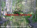 Hammock Camping
